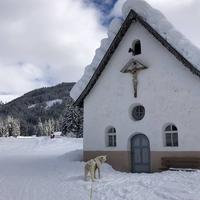 Alpine Touring Hotel-petfriendly