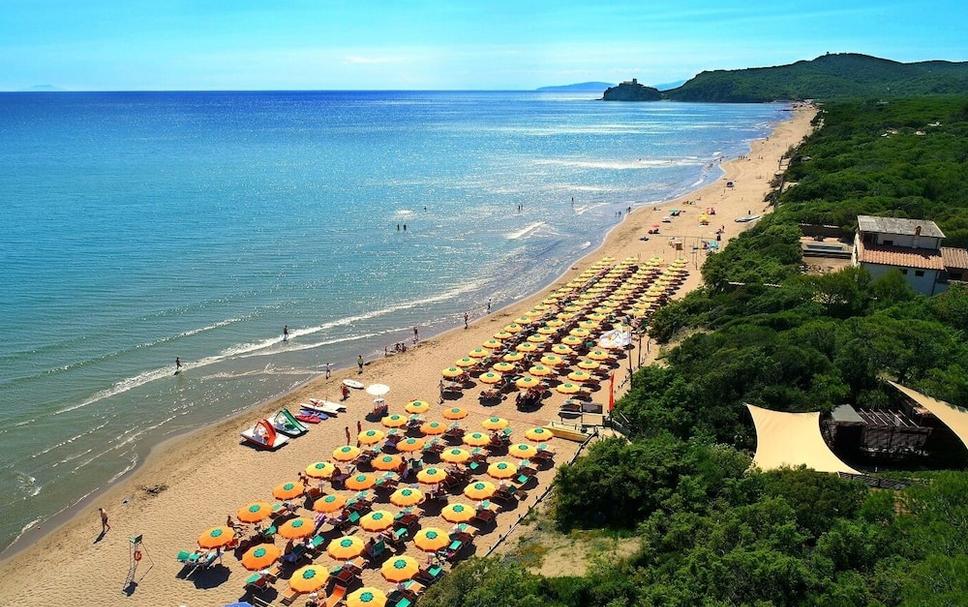 Plaża Zdjęcie