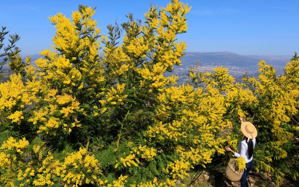 Widok na zewnątrz Zdjęcie