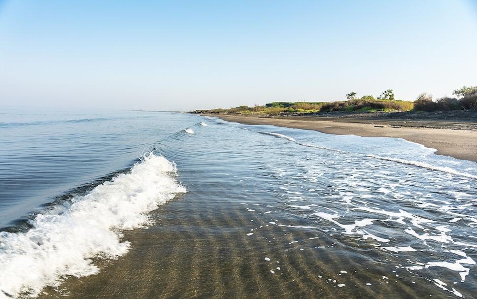 Plaża Zdjęcie