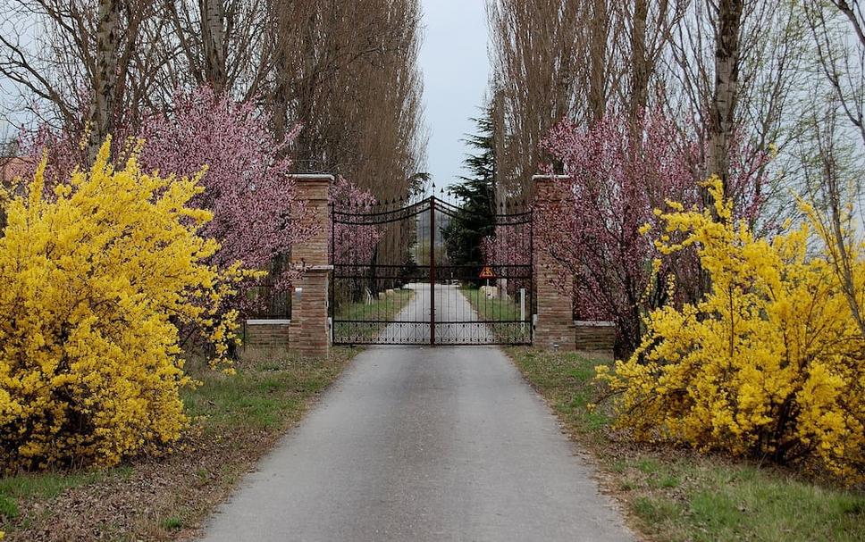 Widok na zewnątrz Zdjęcie