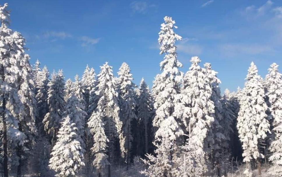 Widok na zewnątrz Zdjęcie