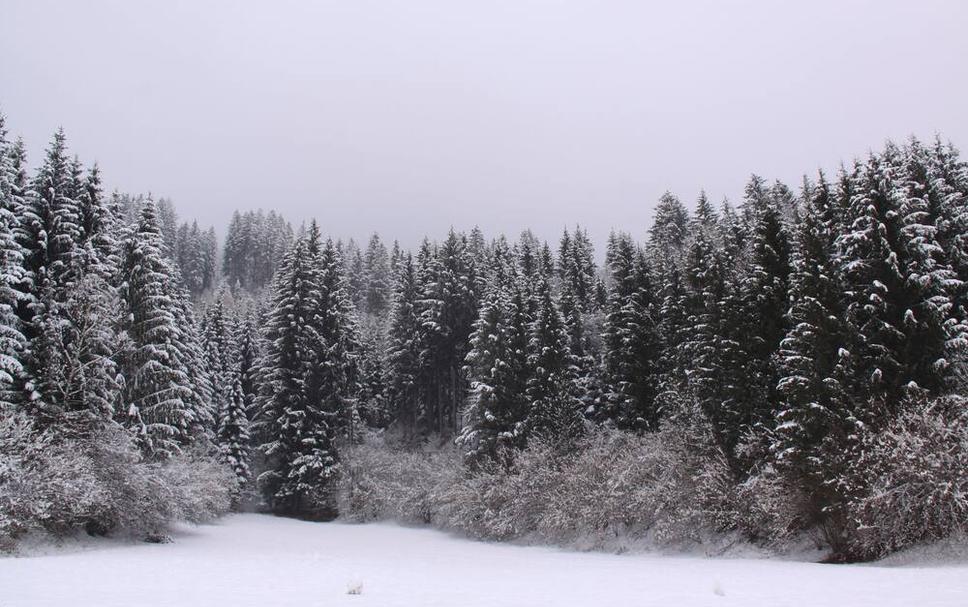 Widok na zewnątrz Zdjęcie