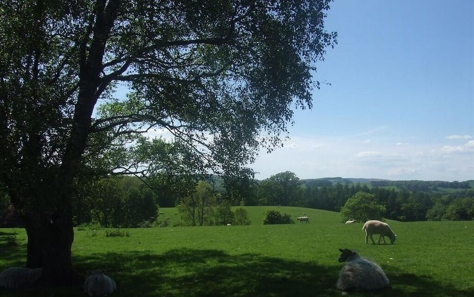 Widok na zewnątrz Zdjęcie