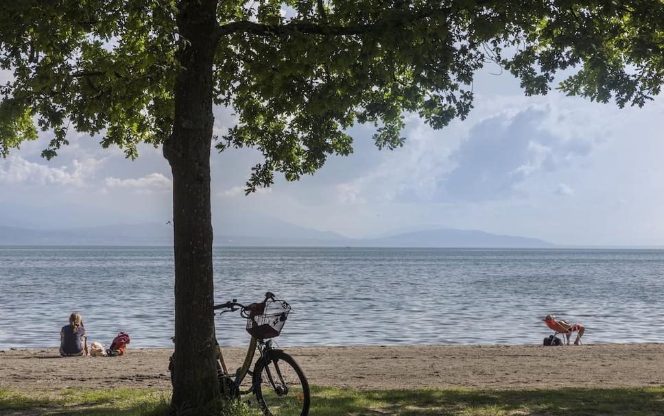 Plaża Zdjęcie