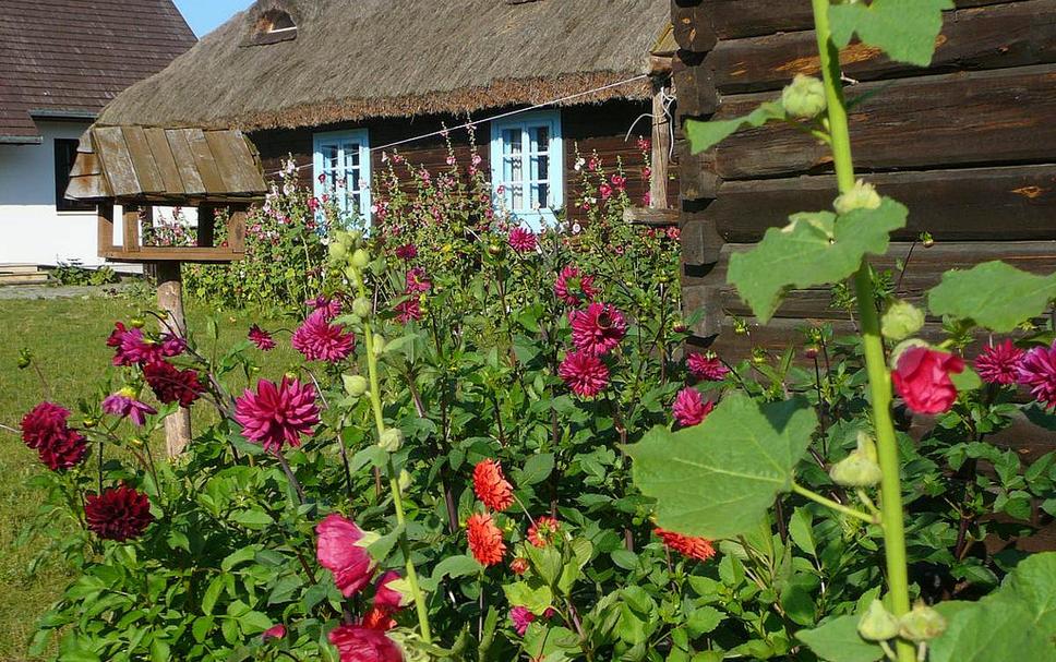 Widok na zewnątrz Zdjęcie